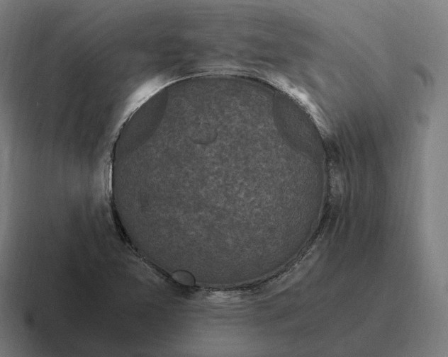 X0000116801365200912311928