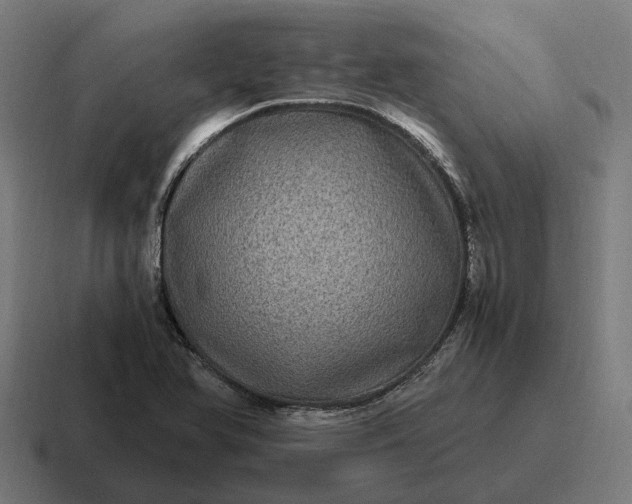 X0000116801366200912311928