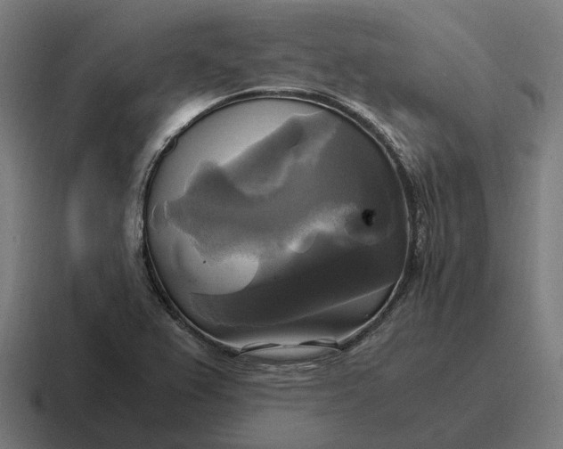 X0000116801367200912311928