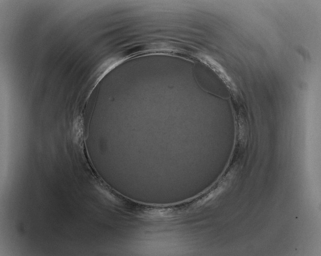 X0000116801369200912311928