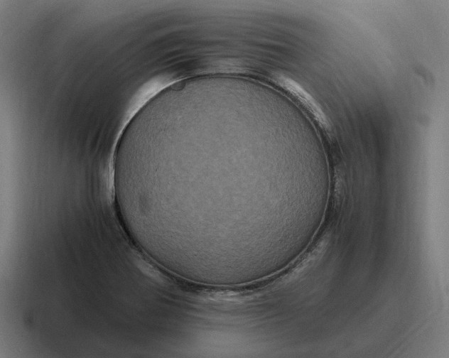 X0000116801370200912311928