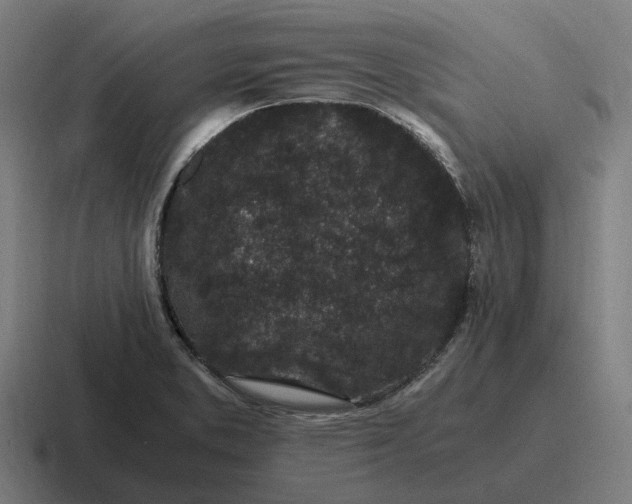 X0000116801373200912311928