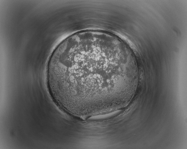 X0000116801375200912311928