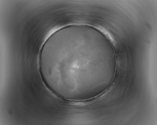 X0000116801382200912311928