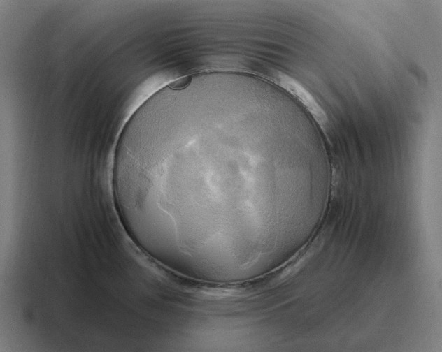 X0000116801386200912311928