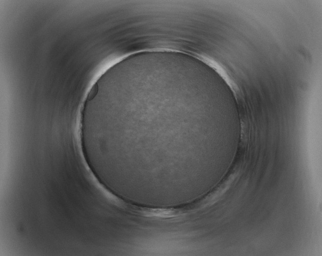 X0000116801387200912311928