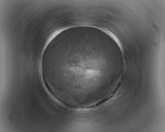 X0000116801389200912311928