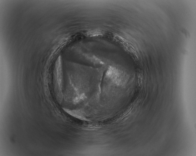 X0000116801393200912311927