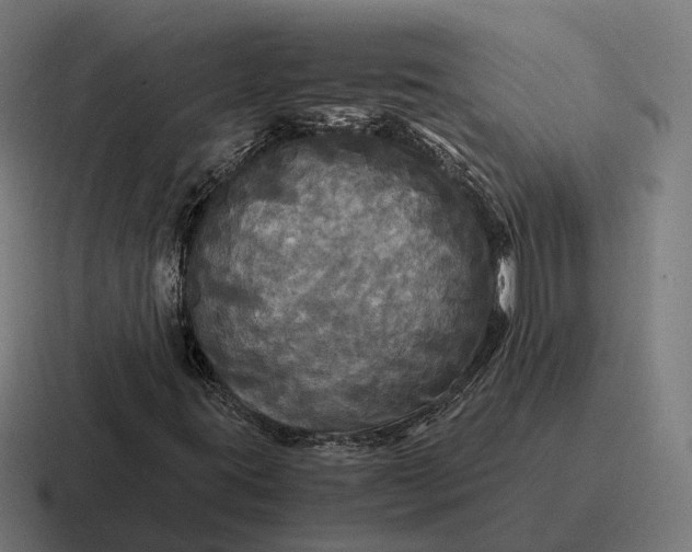 X0000116801395200912311927