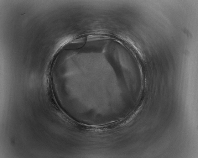 X0000116801405200912311927