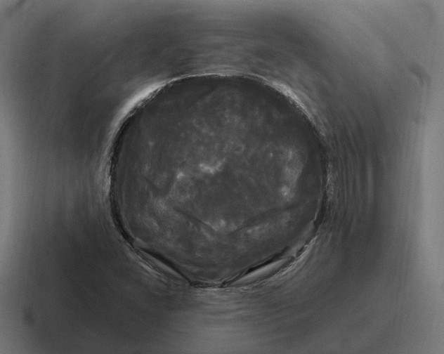 X0000116801406200912311927