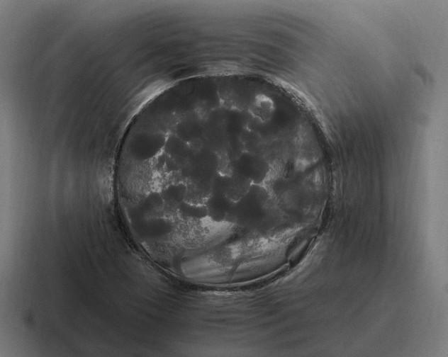 X0000116801409200912311927