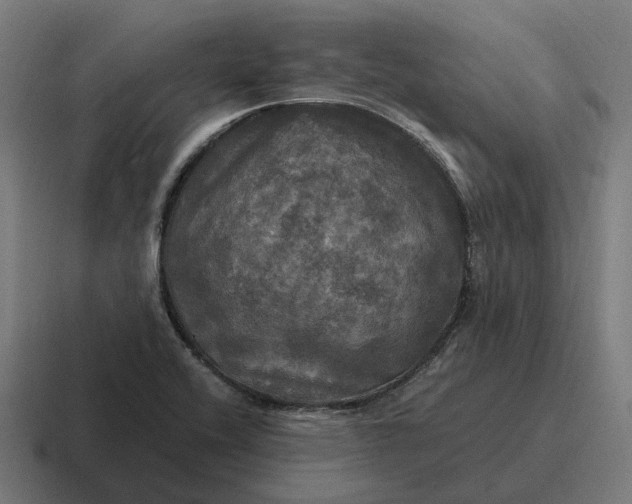 X0000116801416200912311927