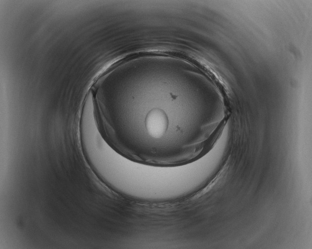 X0000116801417200912311927