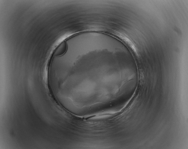 X0000116801419200912311927