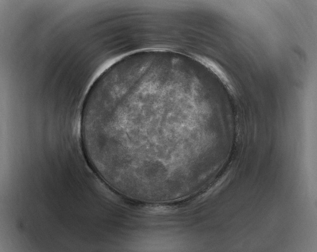 X0000116801420200912311927