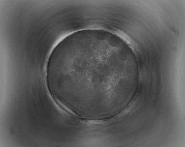 X0000116801430200912311927