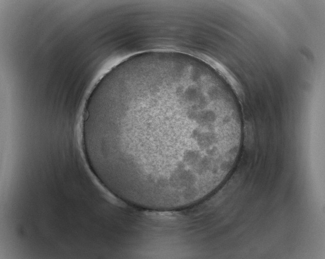 X0000116801432200912311927