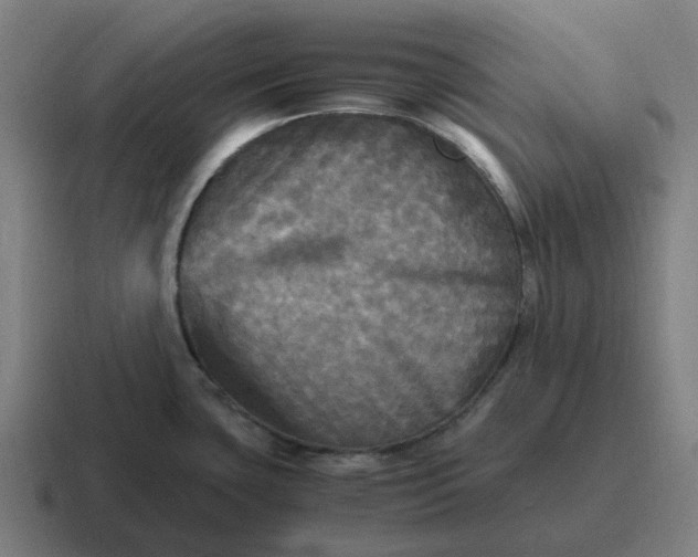 X0000116801435200912311927