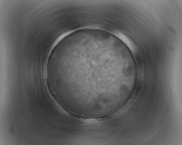 X0000116801436200912311927