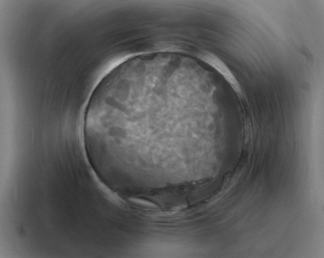 X0000116801439200912311928