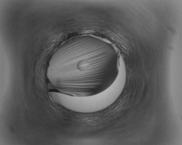 X0000116801441200912311927