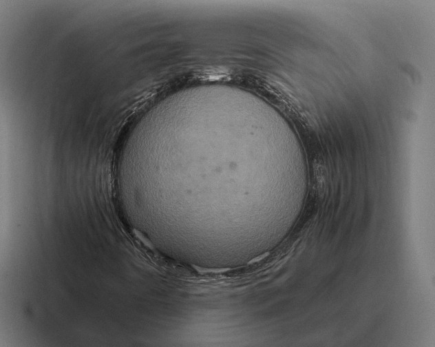 X0000116801442200912311927