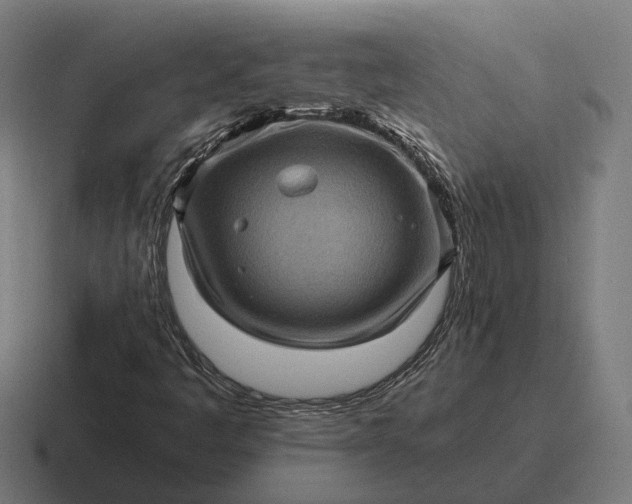 X0000116801445200912311927