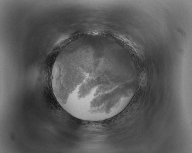 X0000116801446200912311927