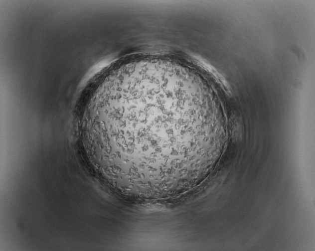 X0000116801448200912311927