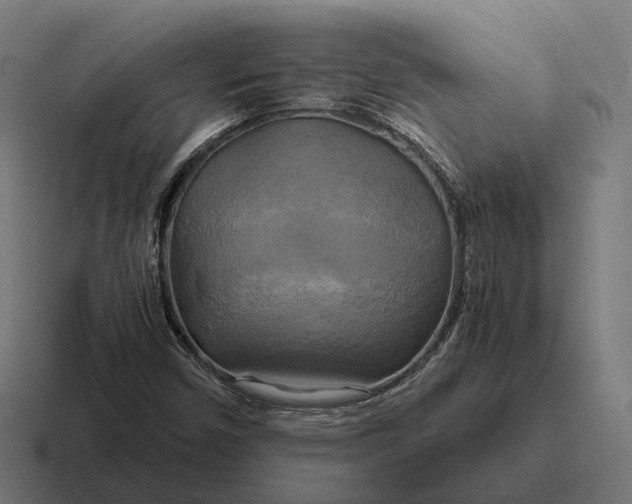 X0000116801450200912311927