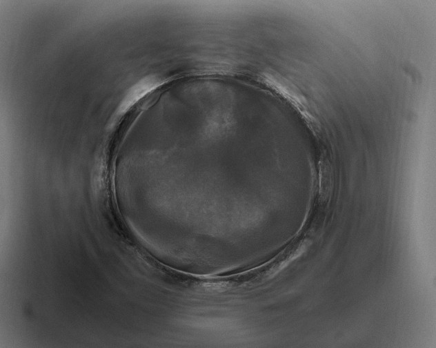 X0000116801453200912311927