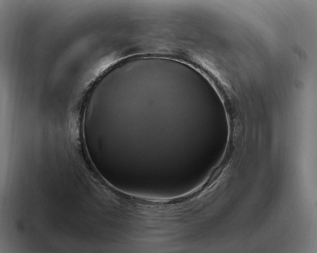 X0000116801455200912311927