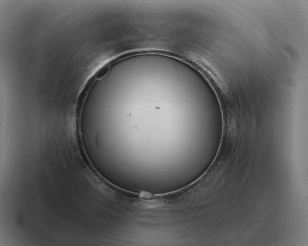 X0000116801460200912311927