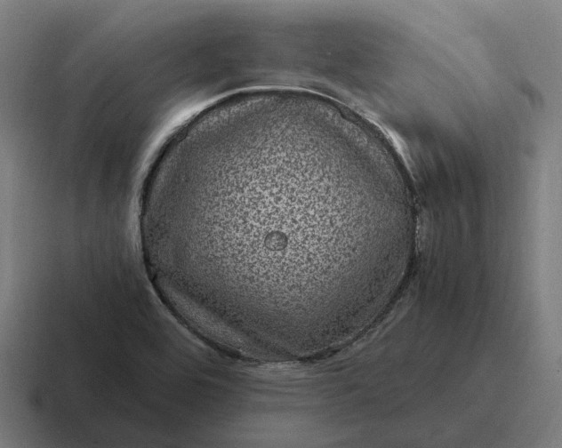 X0000116801464200912311927