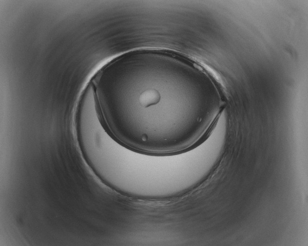 X0000116801468200912311927