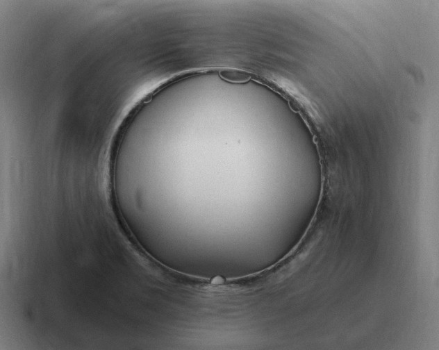 X0000116801469200912311927