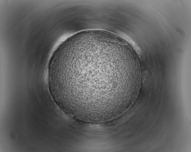 X0000116801472200912311927