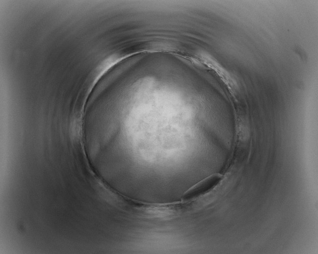 X0000116801473200912311927