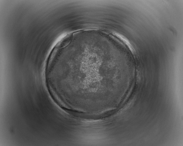 X0000116801475200912311926