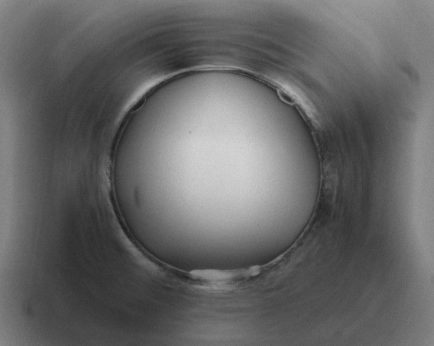 X0000116801476200912311926