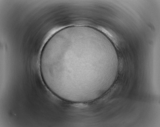 X0000116801478200912311926