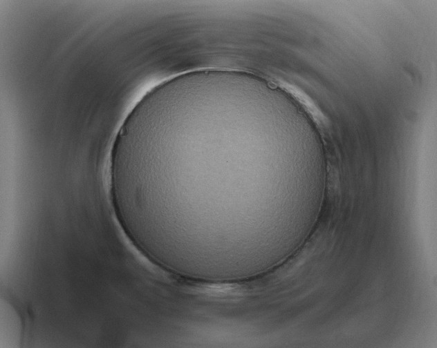 X0000116801479200912311926