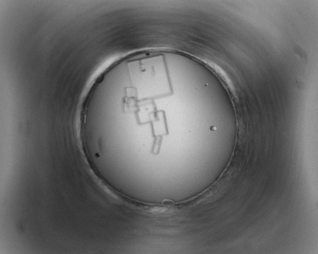 X0000116801480200912311926