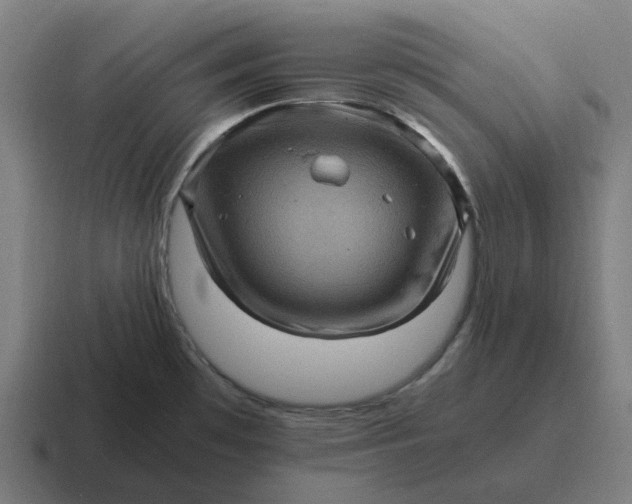 X0000116801481200912311926