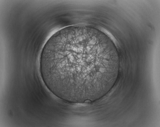 X0000116801483200912311926