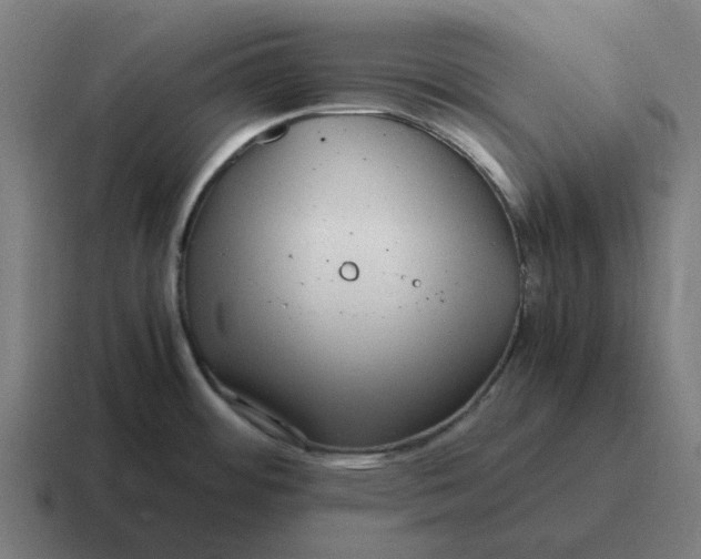 X0000116801484200912311926