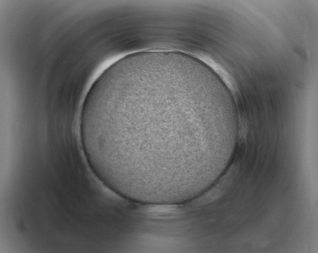 X0000116801486200912311926