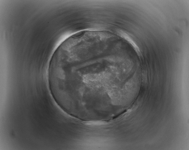 X0000116801487200912311926