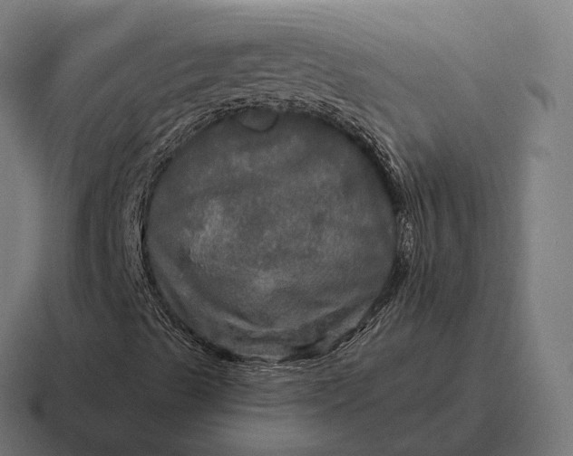 X0000116801489200912311926